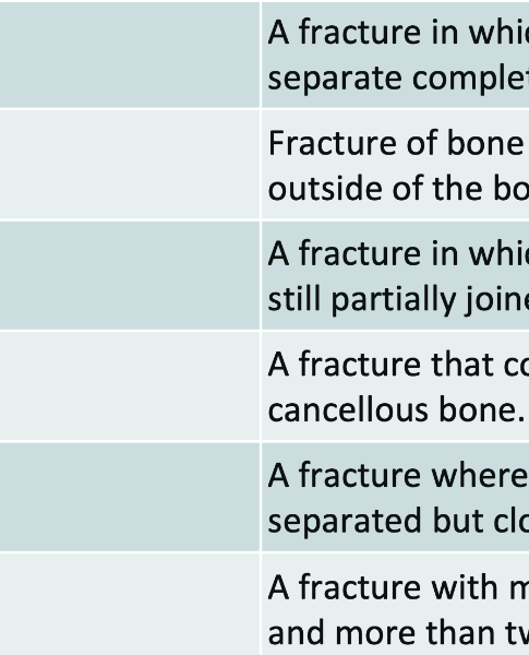 Cecilia Beiter - Profile Photo