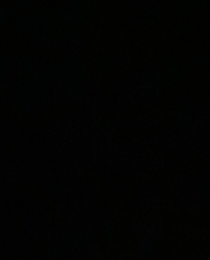 cropped_image-877