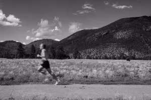 Christian Hense - Gallery Image 5