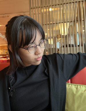 Yuan Sun - Gallery Image 2