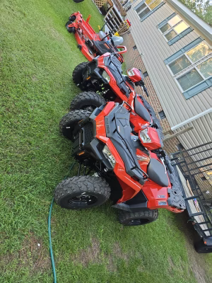 Steven Williams - Gallery Image 2