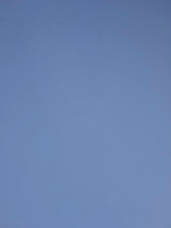 samurai  tamara - Profile Photo