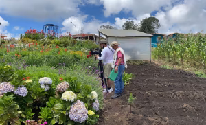 Estevan Valdes - Gallery Image 11