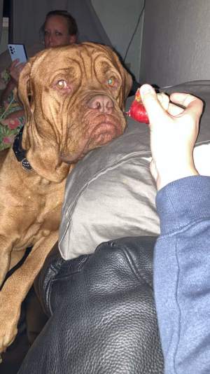 Emily Sofie - Gallery Image 2