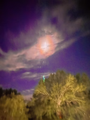 Gabrielle Richards - Project Casting Gallery Image 15 Gabrielle Richards - Gallery Image 15