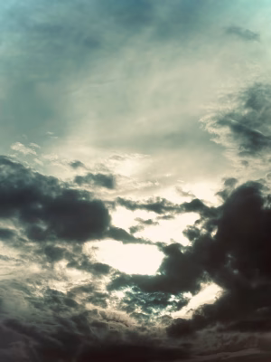 Gabrielle Richards - Project Casting Gallery Image 4 Gabrielle Richards - Gallery Image 4