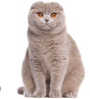 Leaf Shimmer - Project Casting Gallery Image 12 Leaf Shimmer - Gallery Image 12