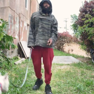 Akeil Williams - Gallery Image 4