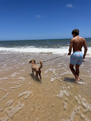 Noah Santos - Project Casting Gallery Image 3 Noah Santos - Gallery Image 3