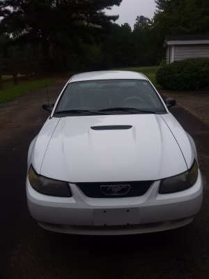 Daniel Ferguson jr - Gallery Image 4