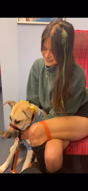 Alison Walker - Project Casting Gallery Image 3 Alison Walker - Gallery Image 3