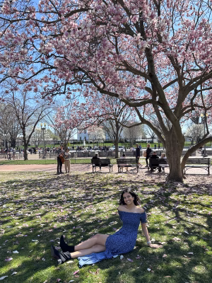 avni maramraj - Gallery Image 8