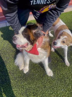 Ava Rainone - Project Casting Gallery Image 12 Ava Rainone - Gallery Image 12