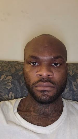 Quentin Dooley - Gallery Image 4