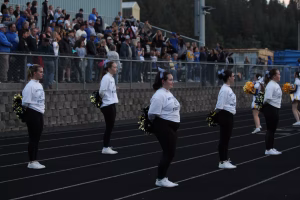 Adrianna Ericksen - Project Casting Gallery Image 27 Adrianna Ericksen - Gallery Image 27