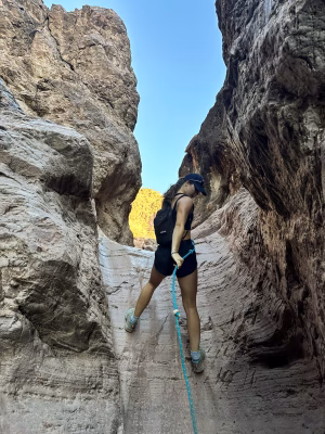 Rachel Bruno - Gallery Image 8