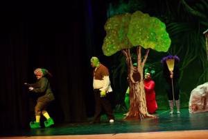 Austin Miller - Gallery Image 1