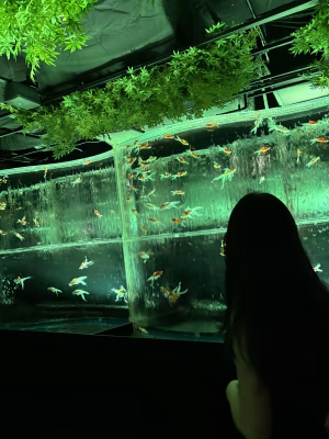 Abbe Yi - Project Casting Gallery Image 9 Abbe Yi - Gallery Image 9