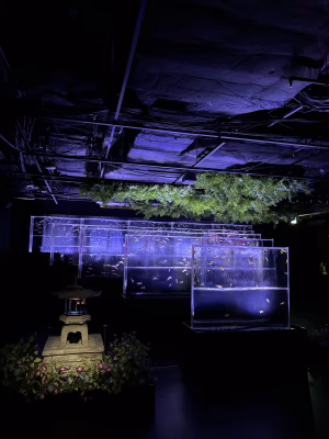 Abbe Yi - Project Casting Gallery Image 4 Abbe Yi - Gallery Image 4