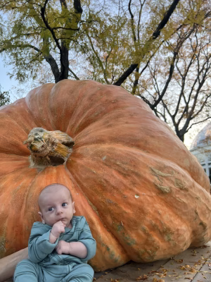 Dean  Hatton - Gallery Image 11