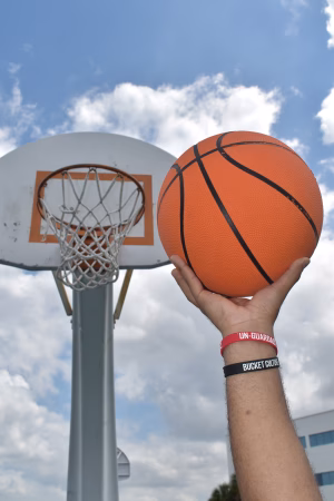 Alessandro Barros - Gallery Image 4