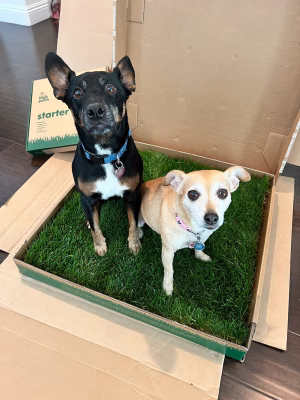 Brittany Bonilla - Gallery Image 1