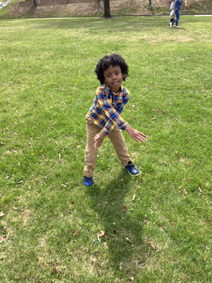 Randy Harris - Gallery Image 4