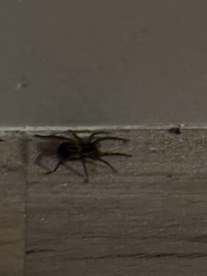 Keasia Kay Jackson - Gallery Image 9