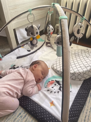 Mari Tighe - Gallery Image 4