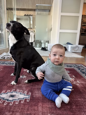 Dean Bracy - Gallery Image 7