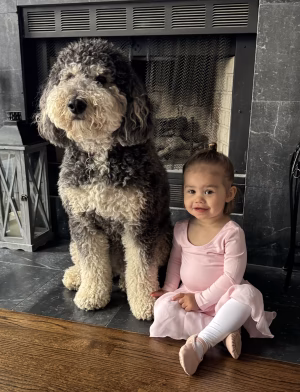 Madilyn Wall - Gallery Image 4