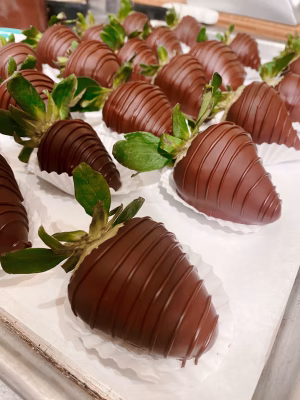 Trina DeKett - Gallery Image 12