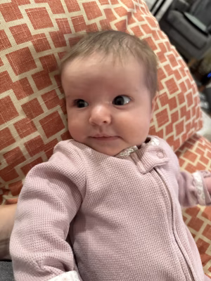 Tulsi Buddig - Gallery Image 4