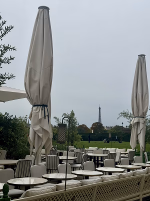 Ariela Nemirovski - Gallery Image 3