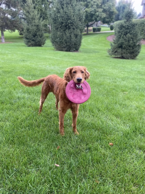 Aaliyah Folmar - Gallery Image 11