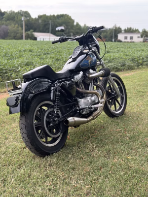 Jason Rodgers - Project Casting Gallery Image 23 Jason Rodgers - Gallery Image 23