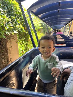 Norie  Selah - Gallery Image 4