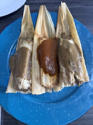 Marco Colin - Project Casting Gallery Image 3 Marco Colin - Gallery Image 3