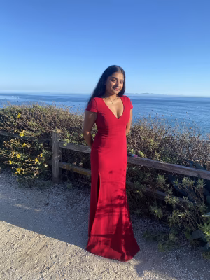 Avishka Boppudi - Gallery Image 2