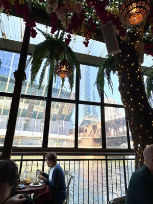 Aaliyah Folmar - Gallery Image 7