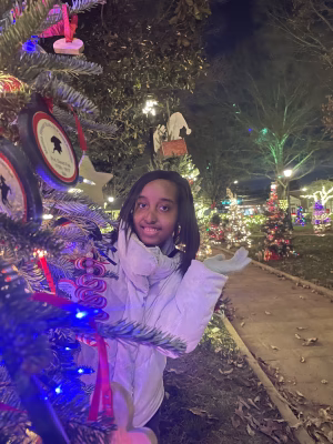 Santana hibbler - Gallery Image 3