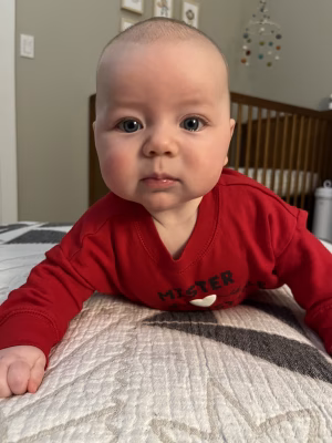 Sam Sheely - Gallery Image 3