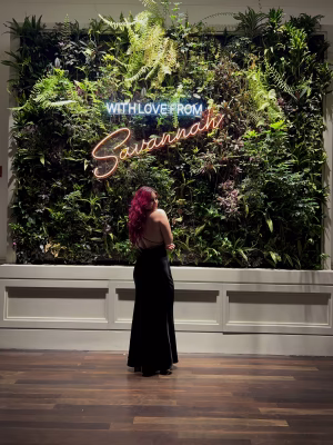 Ann McMahon - Gallery Image 8