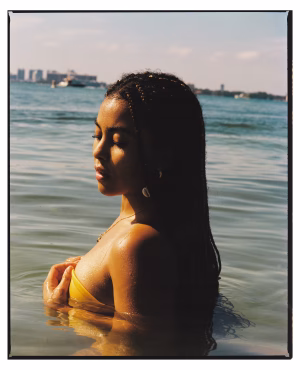 Arays Domech - Gallery Image 11