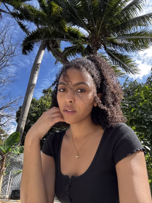 Arays Domech - Gallery Image 10