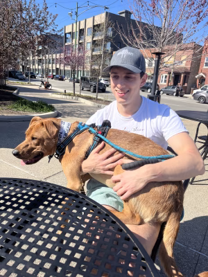 Werner Gunn - Gallery Image 6