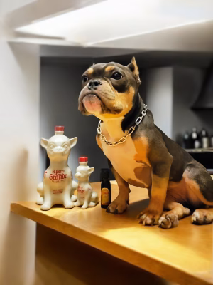 Dianna  Correa - Gallery Image 2