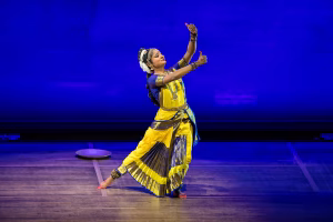 Avishka Boppudi - Gallery Image 6