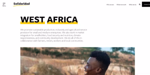 Stevy Daic NDJALA TOTOLO - Gallery Image 7