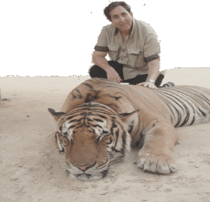 George Sweet - Gallery Image 10